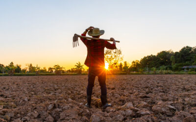 Dia do Agricultor – ABRAFILTROS lembra que o mercado de filtros participa da evolução tecnológica de equipamentos na agricultura para ganho em produtividade no campo