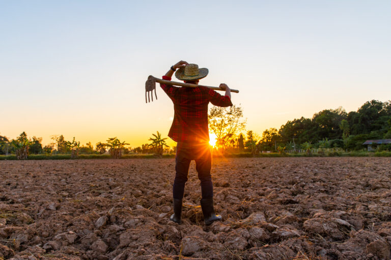 Dia do Agricultor – ABRAFILTROS lembra que o mercado de filtros participa da evolução tecnológica de equipamentos na agricultura para ganho em produtividade no campo
