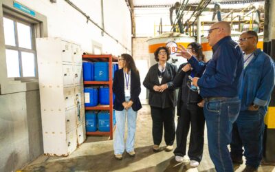 Descarte Consciente Abrafiltros supera 57 milhões de filtros do óleo lubrificante automotivo, reciclados e a partir de 2025 com auditoria dos resultados alcançados