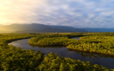 Dia da Natureza: Abrafiltros destaca o papel essencial da filtração na preservação ambiental